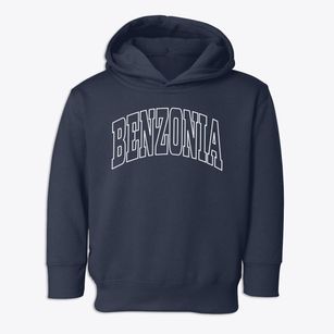 Benzonia Michigan Trendy Block Toddler Hoodie