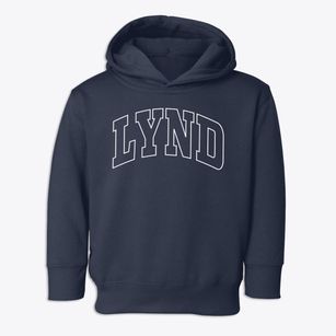 Lynd Minnesota Trendy Block Toddler Hoodie