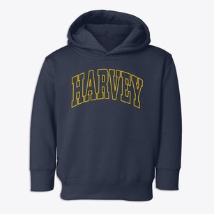 Harvey Illinois Trendy Block Toddler Hoodie