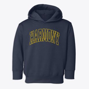 Harmony Pennsylvania Trendy Block Toddler Hoodie