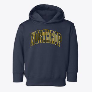 Northrop Minnesota Trendy Block Toddler Hoodie
