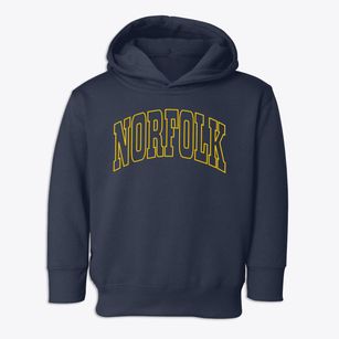 Norfolk Virginia Trendy Block Toddler Hoodie