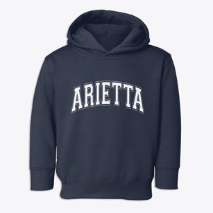 Arietta New York Varsity Toddler Hoodie