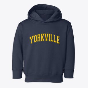 Yorkville Wisconsin Varsity Toddler Hoodie
