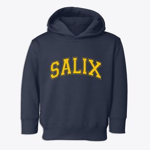 Salix Pennsylvania Varsity Toddler Hoodie