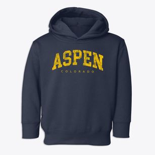 Aspen Colorado Urban Vibe Toddler Hoodie