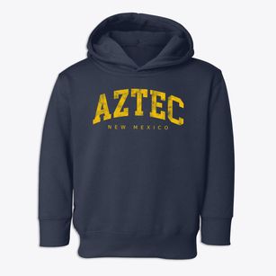 Aztec New Mexico Urban Vibe Toddler Hoodie