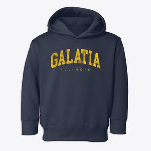 Galatia Illinois Urban Vibe Toddler Hoodie