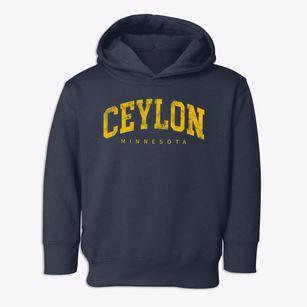 Ceylon Minnesota Urban Vibe Toddler Hoodie