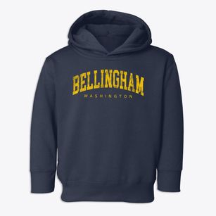 Bellingham Washington Urban Vibe Toddler Hoodie