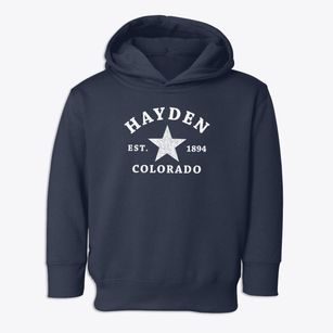 Hayden Colorado Star Toddler Hoodie