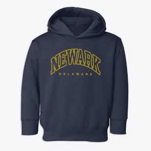 Newark Delaware Inline Toddler Hoodie