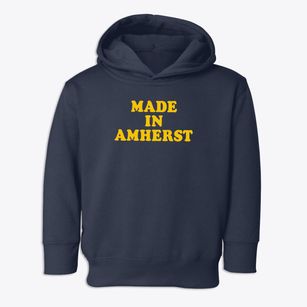 Amherst Massachusetts Classic 70s Toddler Hoodie