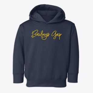 Baileys Gap New York Freestyle Toddler Hoodie