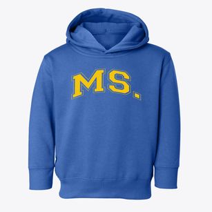 Ms. Carrie's Day School Varsity Arch Toddler Hoodie