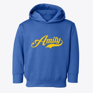 Amity New York Vintage Team Toddler Hoodie