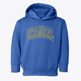 Chamisal New Mexico Trendy Block Toddler Hoodie