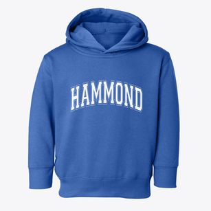 Hammond Wisconsin Varsity Toddler Hoodie