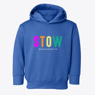 Stow Massachusetts Color Pop Toddler Hoodie