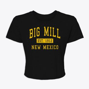 Big Mill New Mexico Classic Established Women's Crop Top