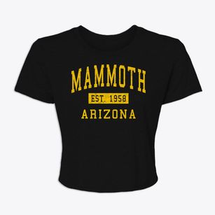 Mammoth Arizona Classic Established Women's Crop Top