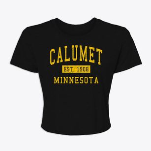 Calumet Minnesota Classic Established Women's Crop Top