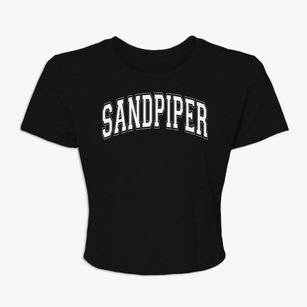 Sandpiper Elementary School Varsity Arch Women's Crop Top