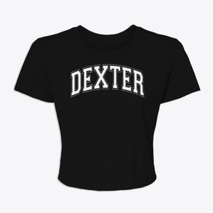 Dexter Christian Academy Varsity Arch Women's Crop Top