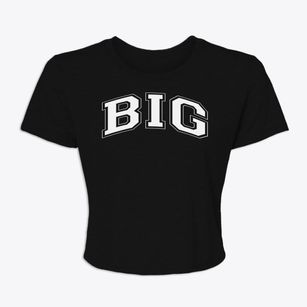 Big Burning Public School Varsity Arch Women's Crop Top