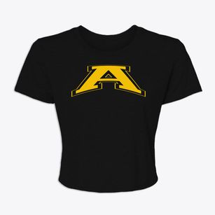 A+ Charter School Varsity Arch Women's Crop Top