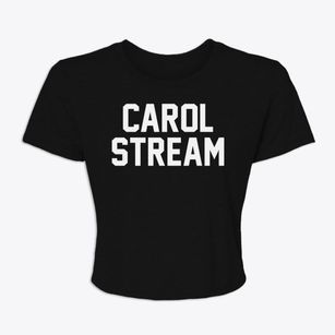 Carol Stream Illinois Classic Block Women's Crop Top