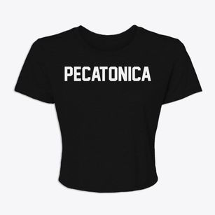 Pecatonica Illinois Classic Block Women's Crop Top