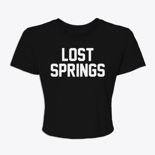 Lost Springs Wyoming Classic Block Women's Crop Top