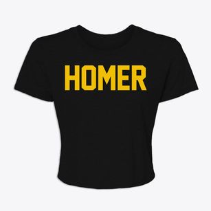Homer Alaska Classic Block Women's Crop Top