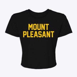 Mount Pleasant New York Classic Block Women's Crop Top