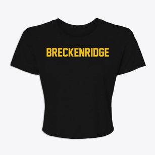 Breckenridge Minnesota Classic Block Women's Crop Top