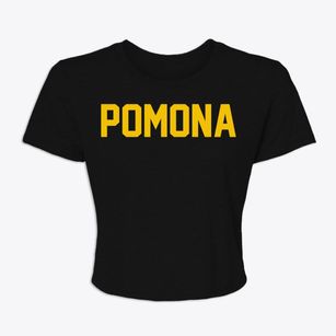 Pomona New York Classic Block Women's Crop Top