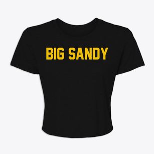 Big Sandy Texas Classic Block Women's Crop Top