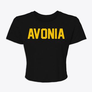Avonia Pennsylvania Classic Block Women's Crop Top