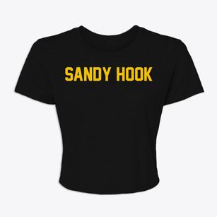 Sandy Hook Wisconsin Classic Block Women's Crop Top