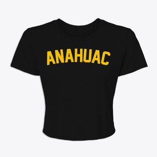 Anahuac Texas Classic Curve Women's Crop Top