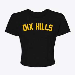 Dix Hills New York Classic Curve Women's Crop Top
