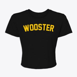 Wooster Ohio Classic Curve Women's Crop Top