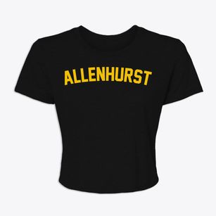 Allenhurst New Jersey Classic Curve Women's Crop Top