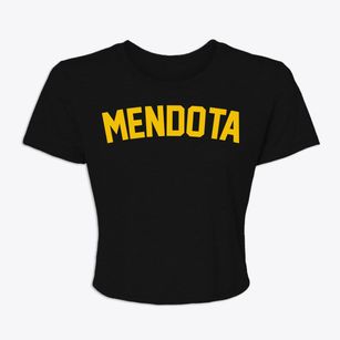 Mendota Minnesota Classic Curve Women's Crop Top