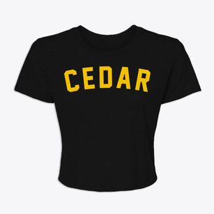 Cedar Michigan Classic Curve Women's Crop Top