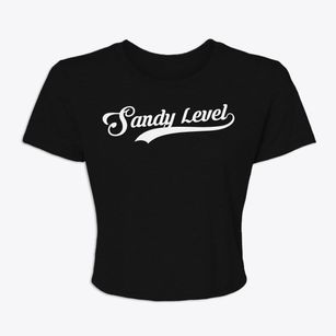 Sandy Level Virginia Vintage Team Women's Crop Top