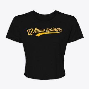 Willow Springs Illinois Vintage Team Women's Crop Top