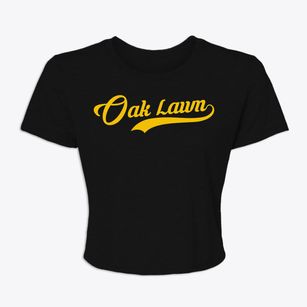 Oak Lawn Illinois Vintage Team Women's Crop Top