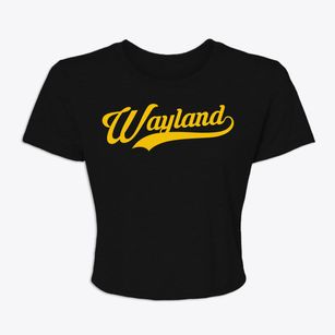 Wayland Michigan Vintage Team Women's Crop Top